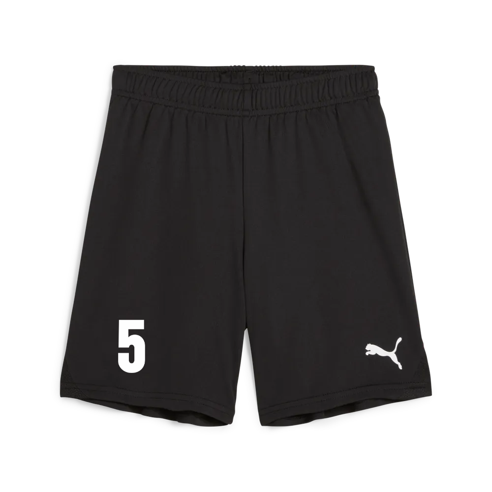 teamGoal Shorts - schwarz
