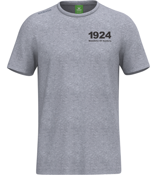 WSV Fanshirt Grau - Herren und Kinder