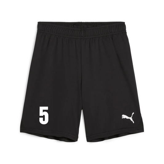 teamGoal Shorts - schwarz